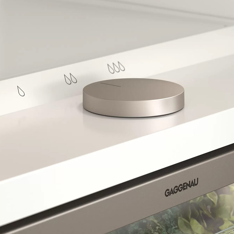 Вбудовувана холодильна камера RC289300 GAGGENAU
