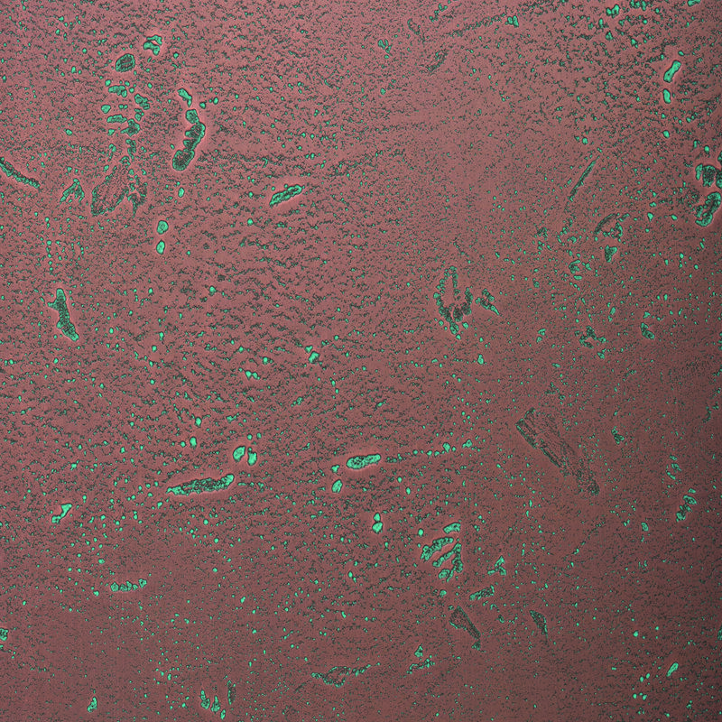 HPL Homapal 635/502 Copper Moon Turquoise HPL Homapal 635/502 Copper Moon Turquoise